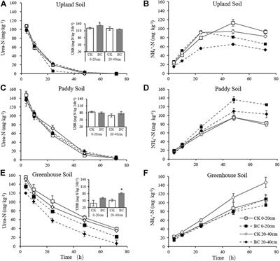 Urea hydrolysis in different farmland soils as affected by long-term biochar application